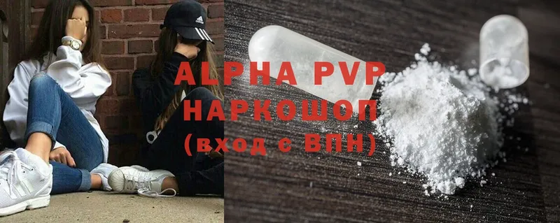 A PVP СК  Йошкар-Ола 